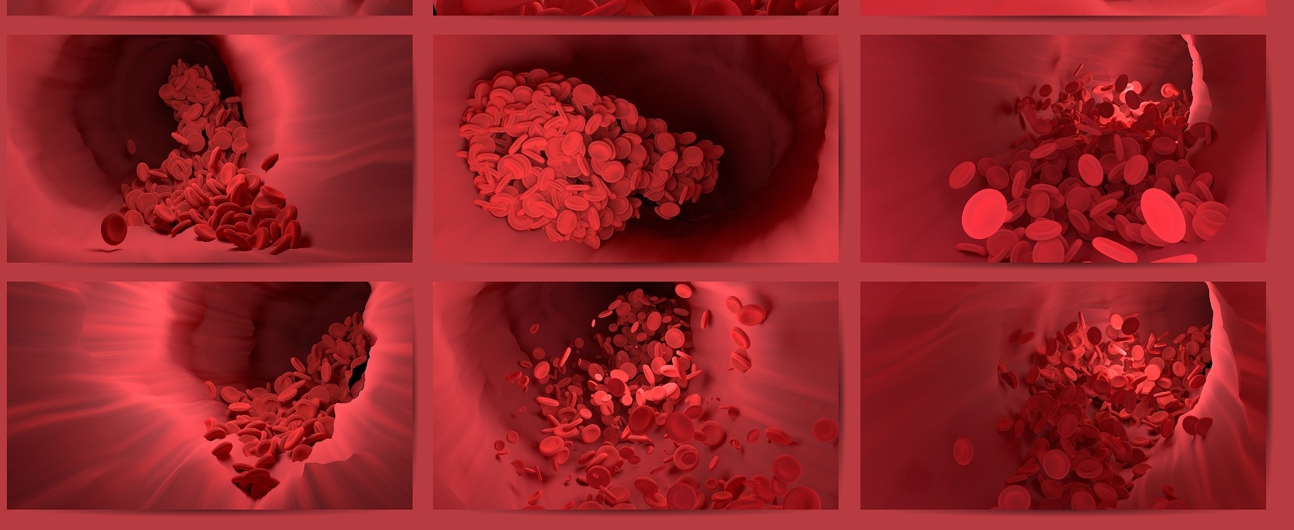 What is the Function of Xarelto & how does it Work in the Body?