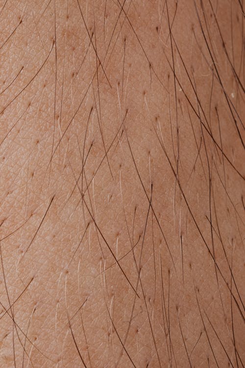 A close image of skin pores with hairs protruding
